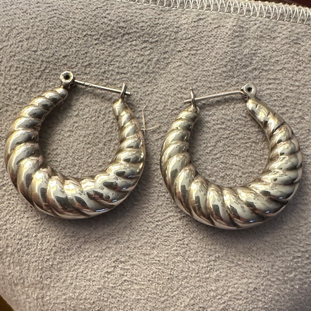 Elegant Silver Hoop Earrings